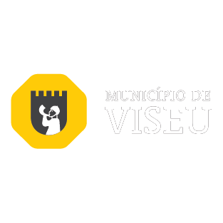 municipio viseu